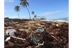 Want a solution to plastic pollution? Scientists urge UN to require global reporting